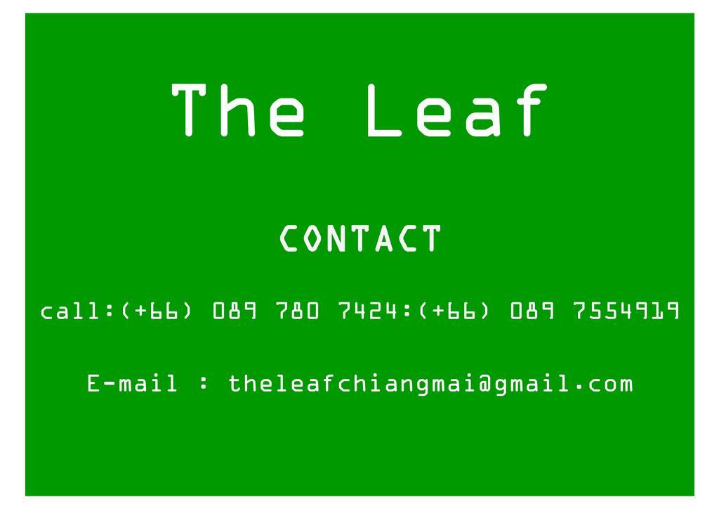 The Leaf Chiangmai Service Apartment Chiang Mai Eksteriør billede