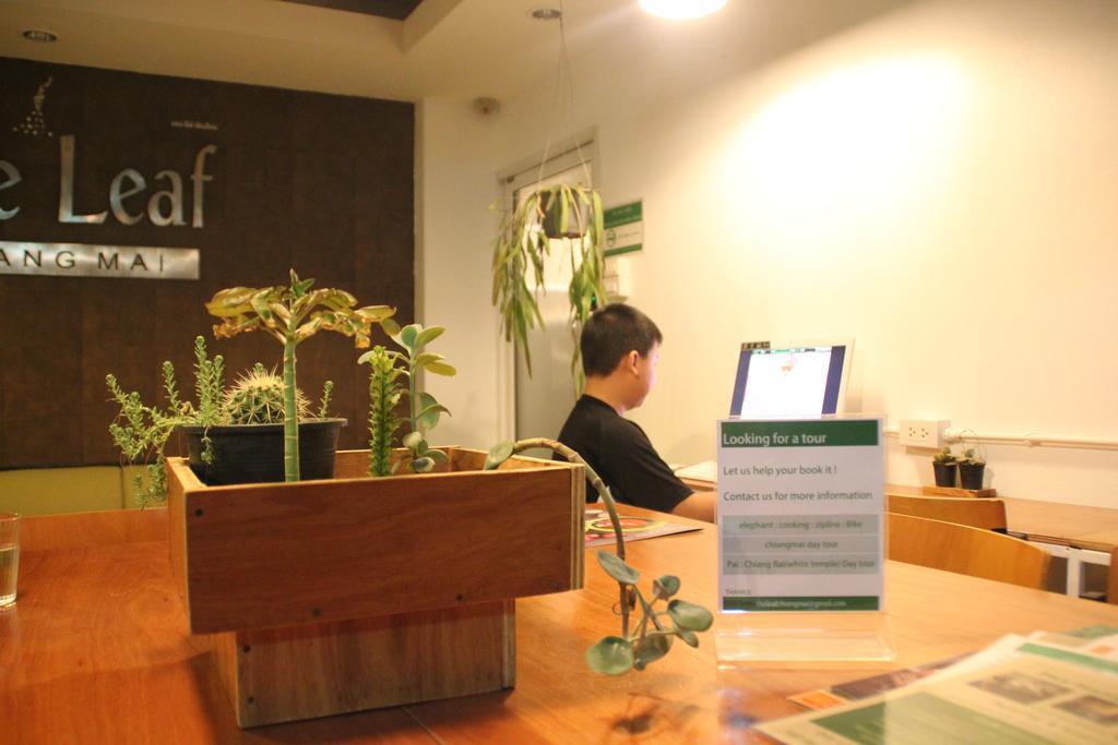 The Leaf Chiangmai Service Apartment Chiang Mai Eksteriør billede